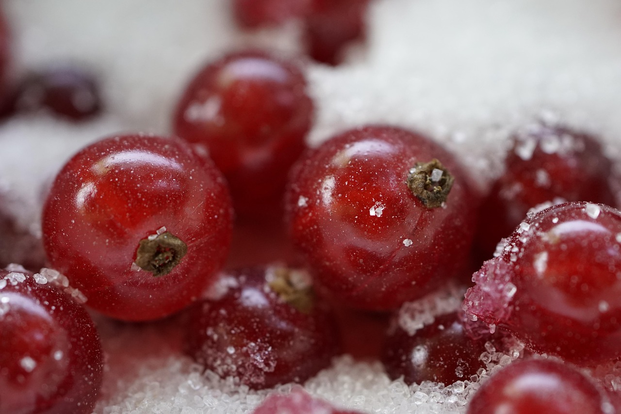 Tarte aux fruits rouges de saison